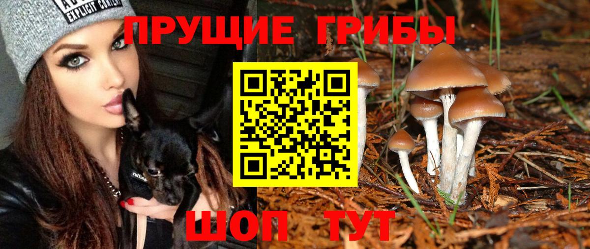 Псилоцибиновые грибы мицелий  Вход с VPN  Верхний Уфалей 